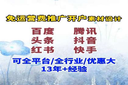 SEM竞价实战：成功案例解析